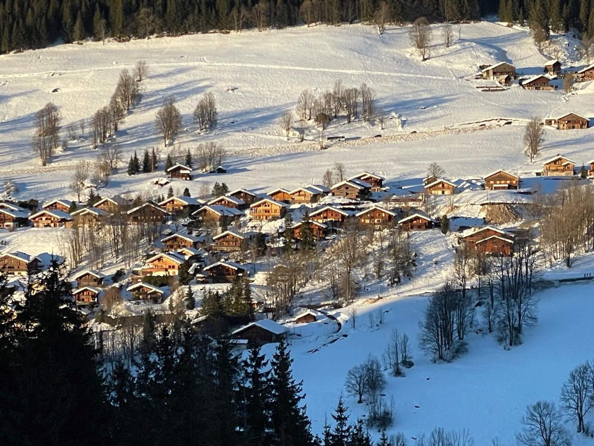 Cosymontagne - Le Chalet - 3Ch - 8 Pers- Terrasse Sud, Magnifique Vue Ла-Клюсаз Экстерьер фото
